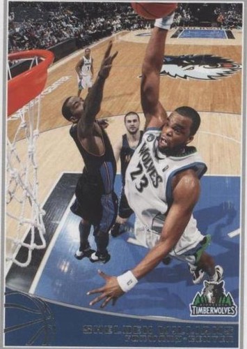 2009-10 Topps - Shelden Williams #163