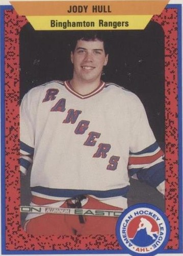 1991-92 ProCards AHL/IHL - Jody Hull #201