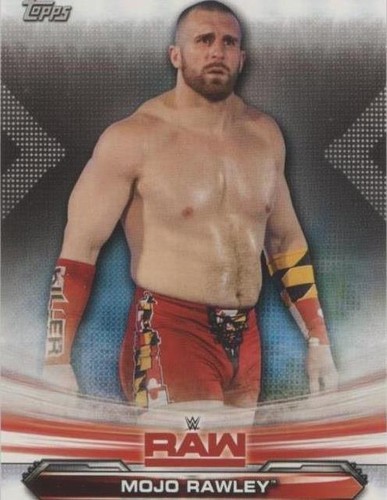 2019 Topps WWE Raw - Mojo Rawley #51