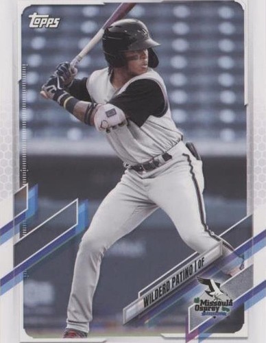 2021 Topps Pro Debut - Wilderd Patino #PD-85