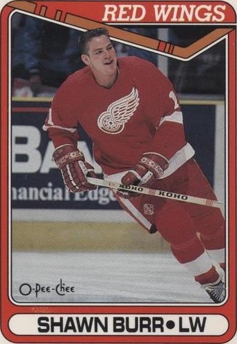 1990-91 O-Pee-Chee - Shawn Burr #74