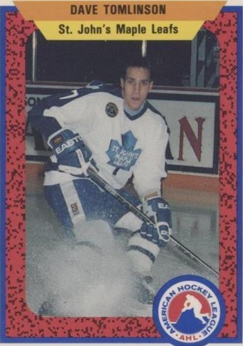 1991-92 ProCards AHL/IHL - Dave Tomlinson #346
