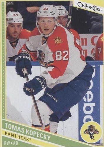 2013-14 O-Pee-Chee - Tomas Kopecky #140