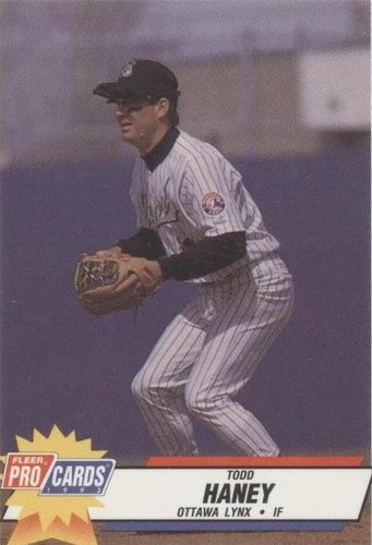 1993 Fleer ProCards AAA All-Star Game - Todd Haney #AAA-17