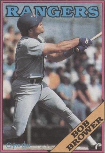 1988 O-Pee-Chee - Bob Brower #252