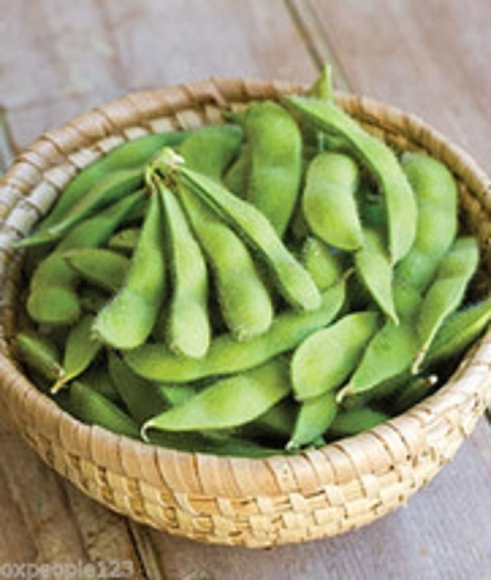 "Be Sweet" Japanese Edamame Soy Bean Seeds | USA Chinese Asian Vegetable