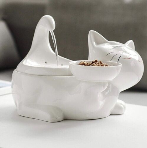 Porcelain cat top water fountain