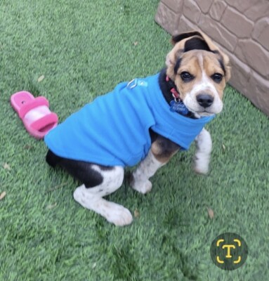 Artikelfoto(s) von einem verifizierten Käufer