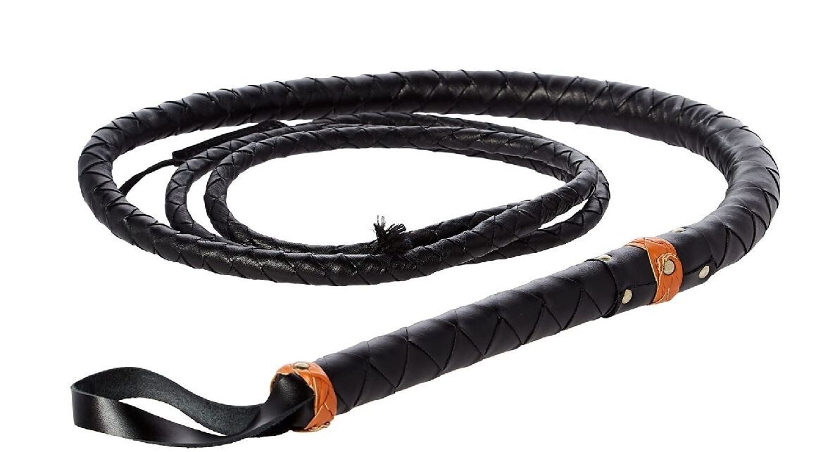 その他 Australian Bullwhip 8feet, Brandy 716uFEjnY4S._UF350,350_QL50_.jpg