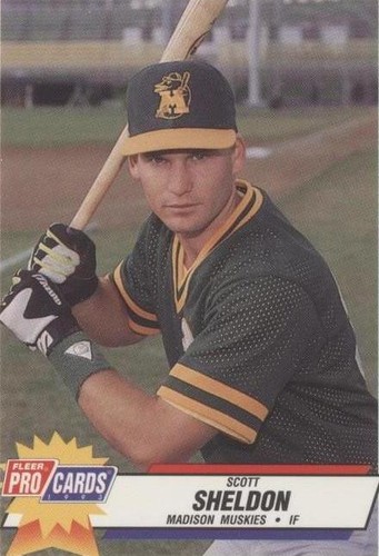 1993 Fleer ProCards Minor League - Scott Sheldon #1831