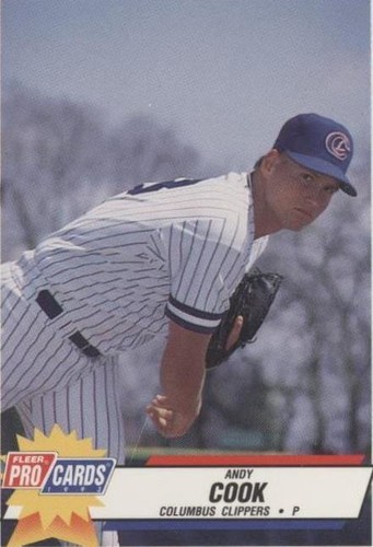 1993 Fleer ProCards Minor League - Andy Cook #1103