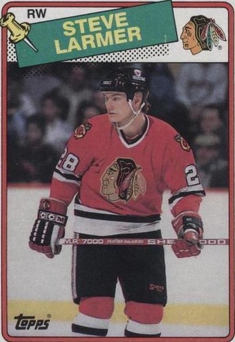 1988-89 Topps - Steve Larmer #154