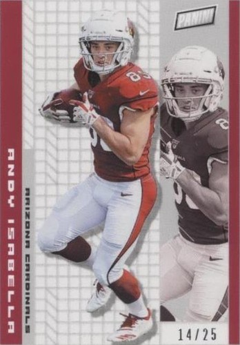 2019 Panini National Convention Andy Isabella #AI