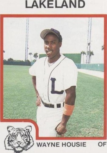 1987 ProCards Minor League - Wayne Housie #2333