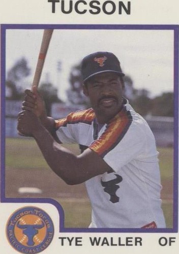 1987 ProCards Minor League - Ty Waller #2115