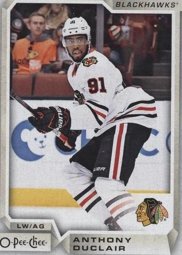 2018-19 O-Pee-Chee - Anthony Duclair #113