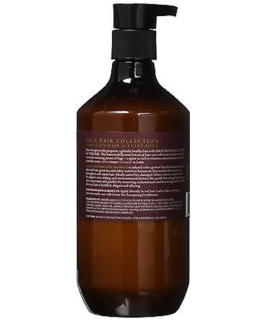 THEORIE Green Tea Energizing Shampoo 13.5 FL. OZ.