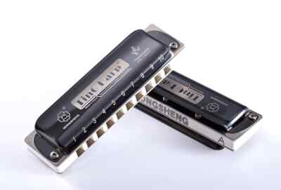 10BH harp diatonic harmonica whitecomb major Richter tuning 100% New