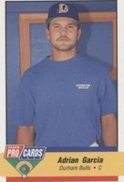 1994 Fleer ProCards Minor League - Adrian Garcia #330