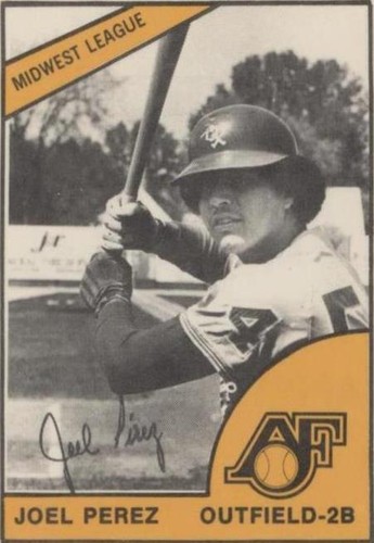 1977 TCMA Minor League - Joel Perez #0289