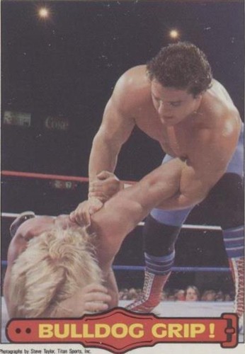 1985 O-Pee-Chee Pro Wrestling Stars - Davey Boy Smith #38