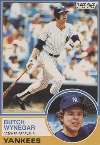 1983 O-Pee-Chee - Butch Wynegar #379