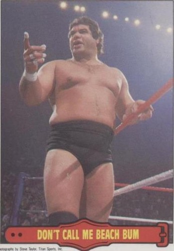 1985 O-Pee-Chee Pro Wrestling Stars - Don Muraco #17