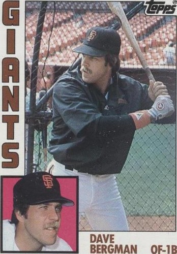 1984 Topps - Dave Bergman #522