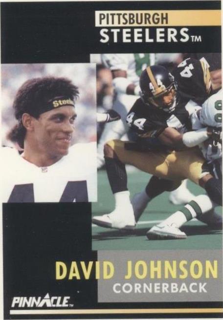 1991 Pinnacle D.J. Johnson #109