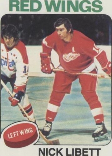 1975-76 Topps - Nick Libett #13