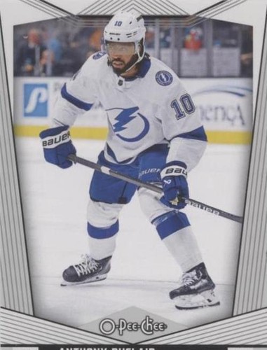 2024-25 O-Pee-Chee - Anthony Duclair #413