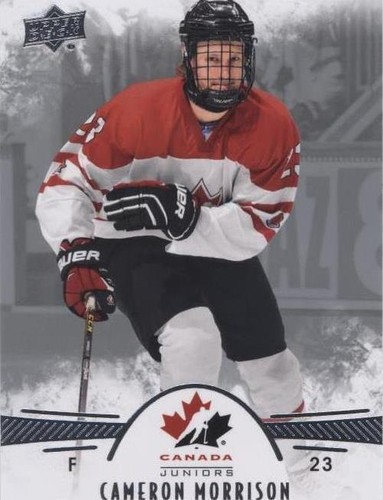 2016 Upper Deck Team Canada Juniors - Cameron Morrison #73