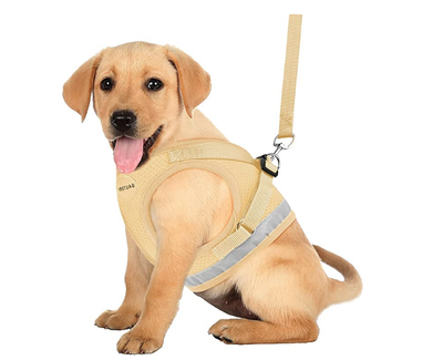 GAUTERF Pet Harnesses Cat Dog Harnesses Leashes Pulling Cream