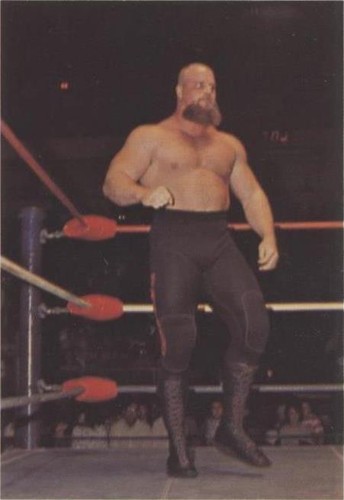 1988 Wonderama NWA - Warlord #37