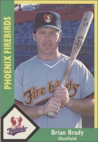 1990 CMC AAA/ProCards A & AA - Brian Brady #539