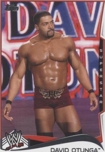 2014 Topps WWE - David Otunga #15