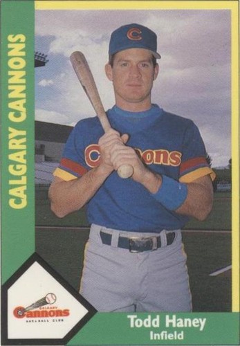 1990 CMC AAA/ProCards A & AA - Todd Haney #445