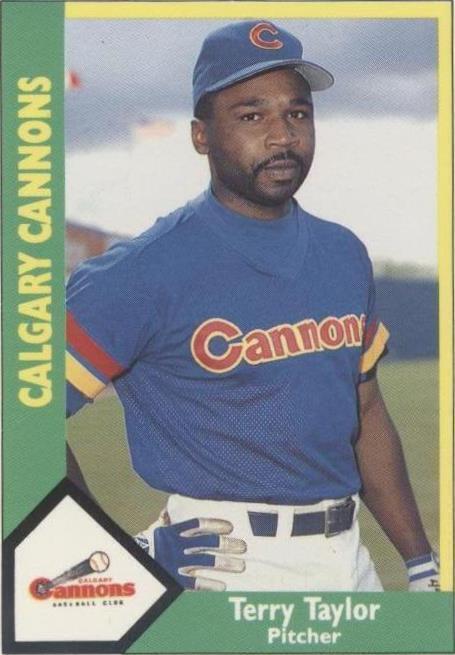 1990 CMC AAA/ProCards A & AA - Terry Taylor #432