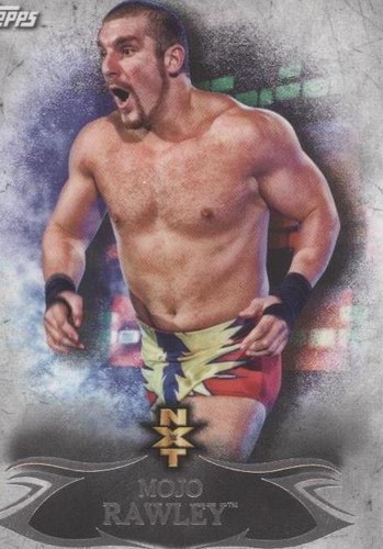2015 Topps WWE Undisputed - Mojo Rawley #NXT 23