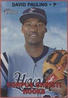 2016 Topps Heritage Minor League Edition - David Paulino #101