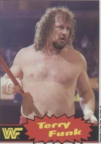 1985 O-Pee-Chee Pro Wrestling Stars - Terry Funk #15