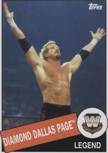 2015 Topps Heritage WWE - Diamond Dallas Page #12