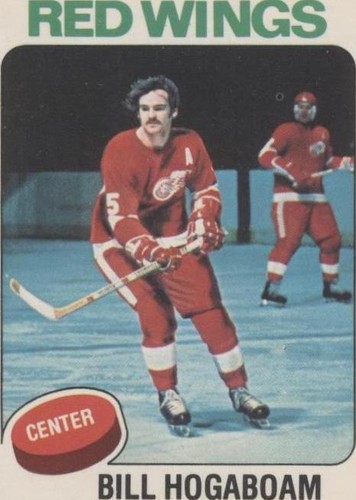 1975-76 O-Pee-Chee - Bill Hogaboam #67