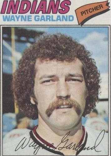 1977 Topps - Wayne Garland #33