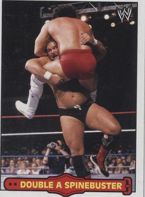 2012 Topps Heritage WWE - Arn Anderson #2