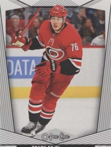 2024-25 O-Pee-Chee - Brady Skjei #267