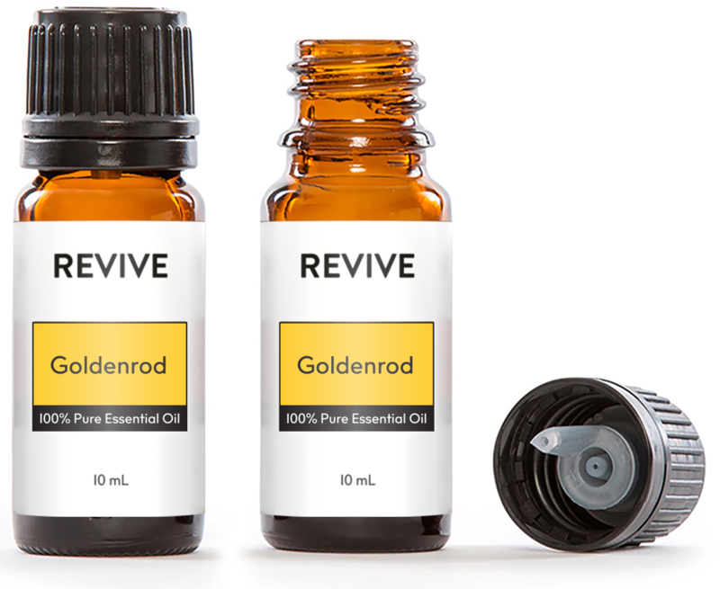 Goldenrod Solidago Canadensis 10ml
