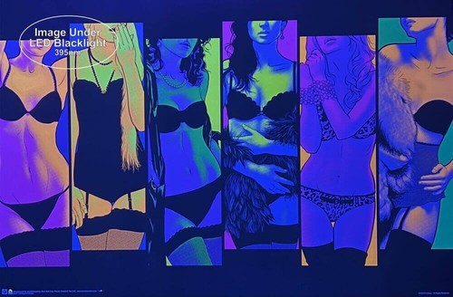 Pop Art Fantasy Non-Flocked Blacklight Poster - 36" x 24"