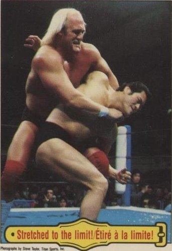 1985 O-Pee-Chee WWF - Hulk Hogan #29