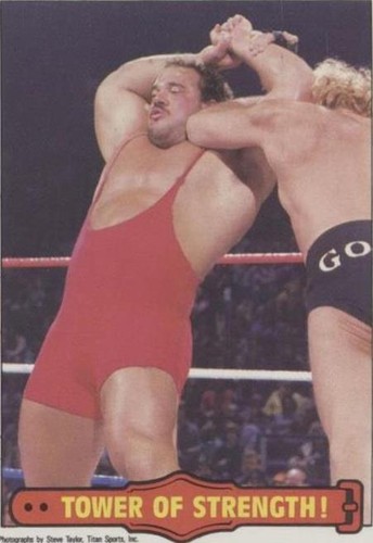 1985 O-Pee-Chee Pro Wrestling Stars - Ted Arcidi #37